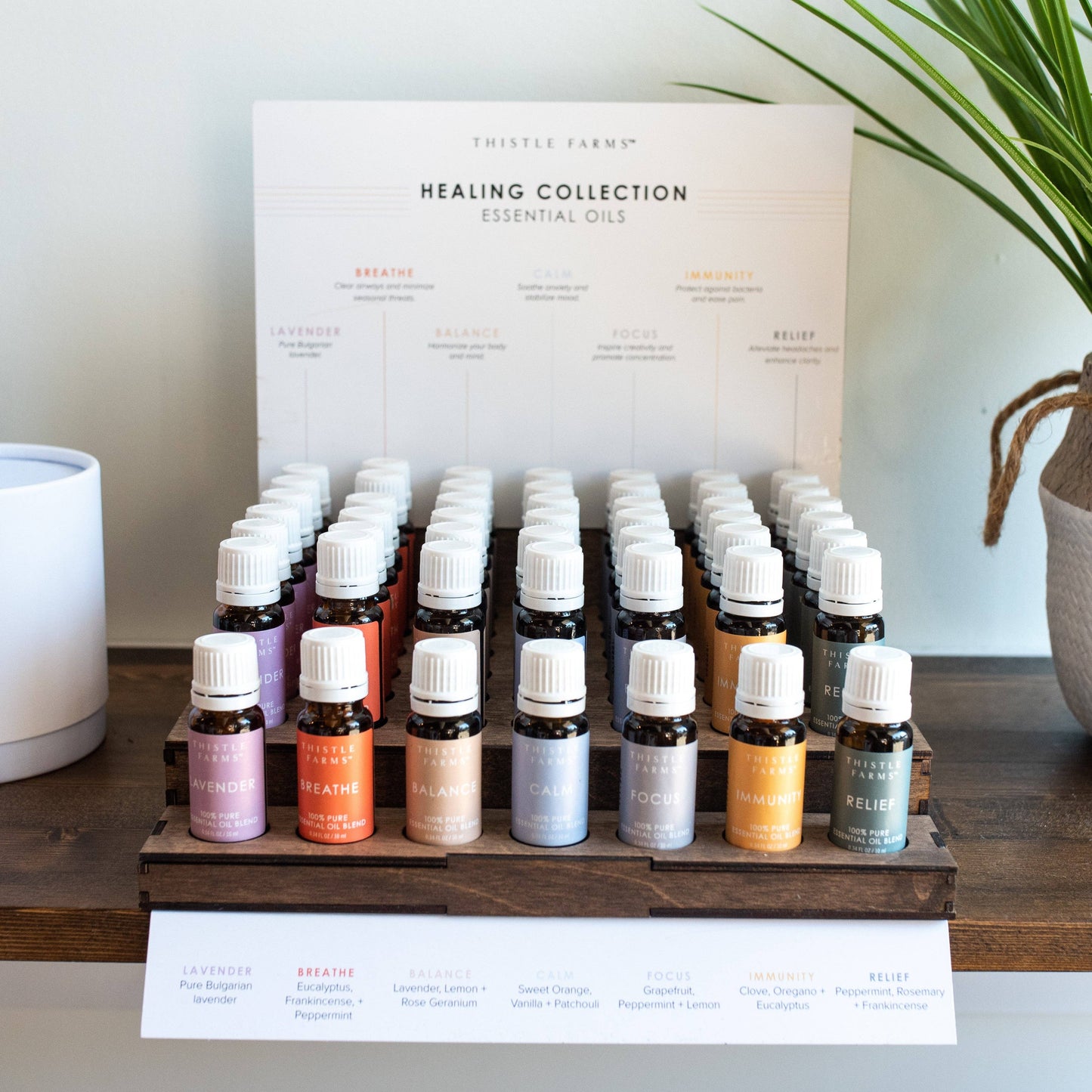 Essential Oils Starter Bundle with Display