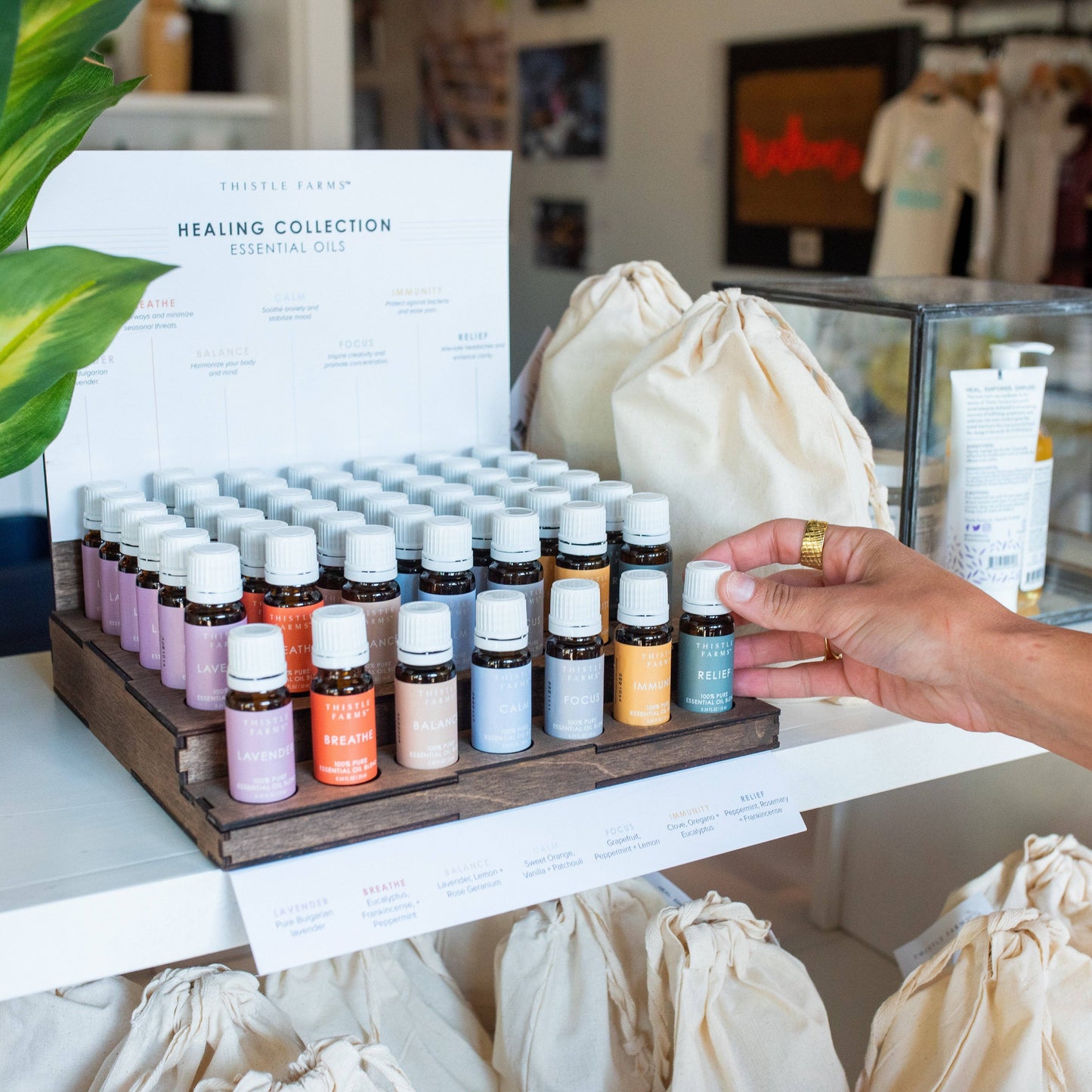 Essential Oils Starter Bundle with Display