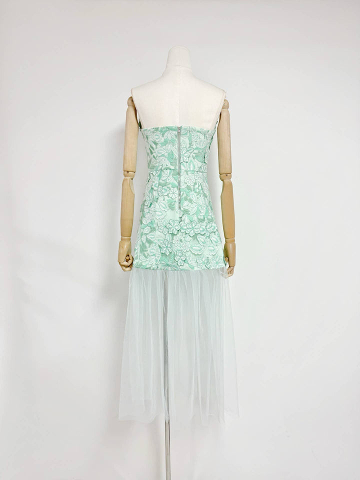 Alice Strapless Mesh Gown
