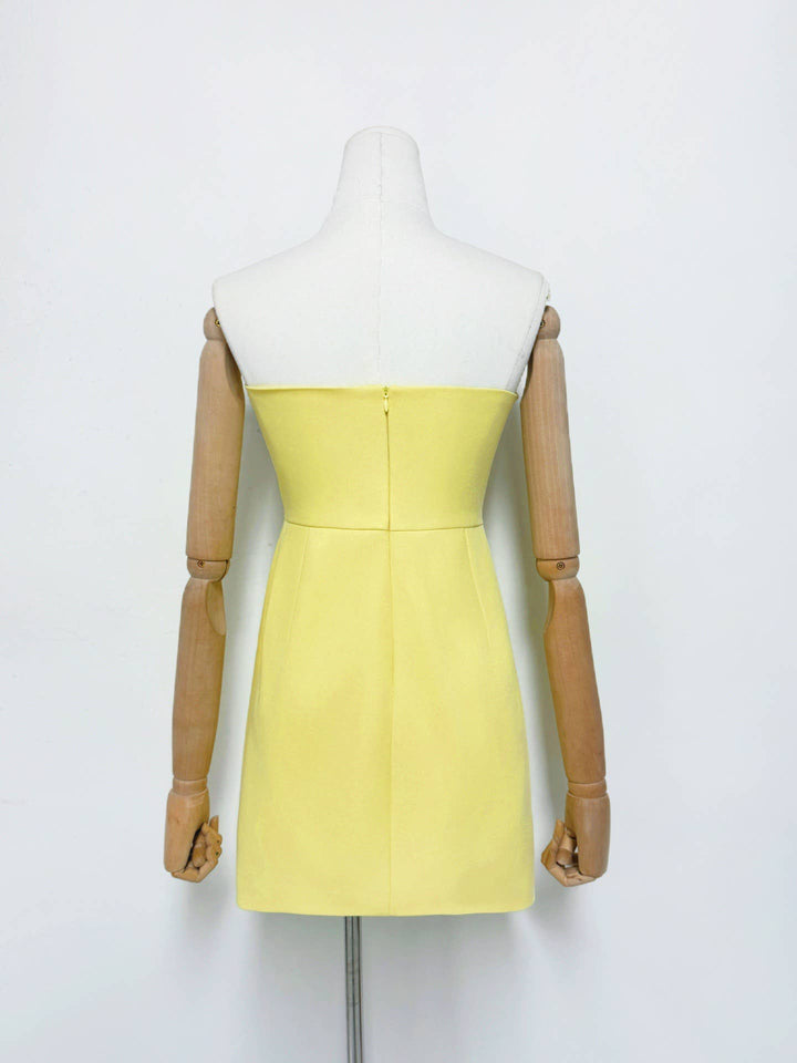 Ivanka Mini Dress